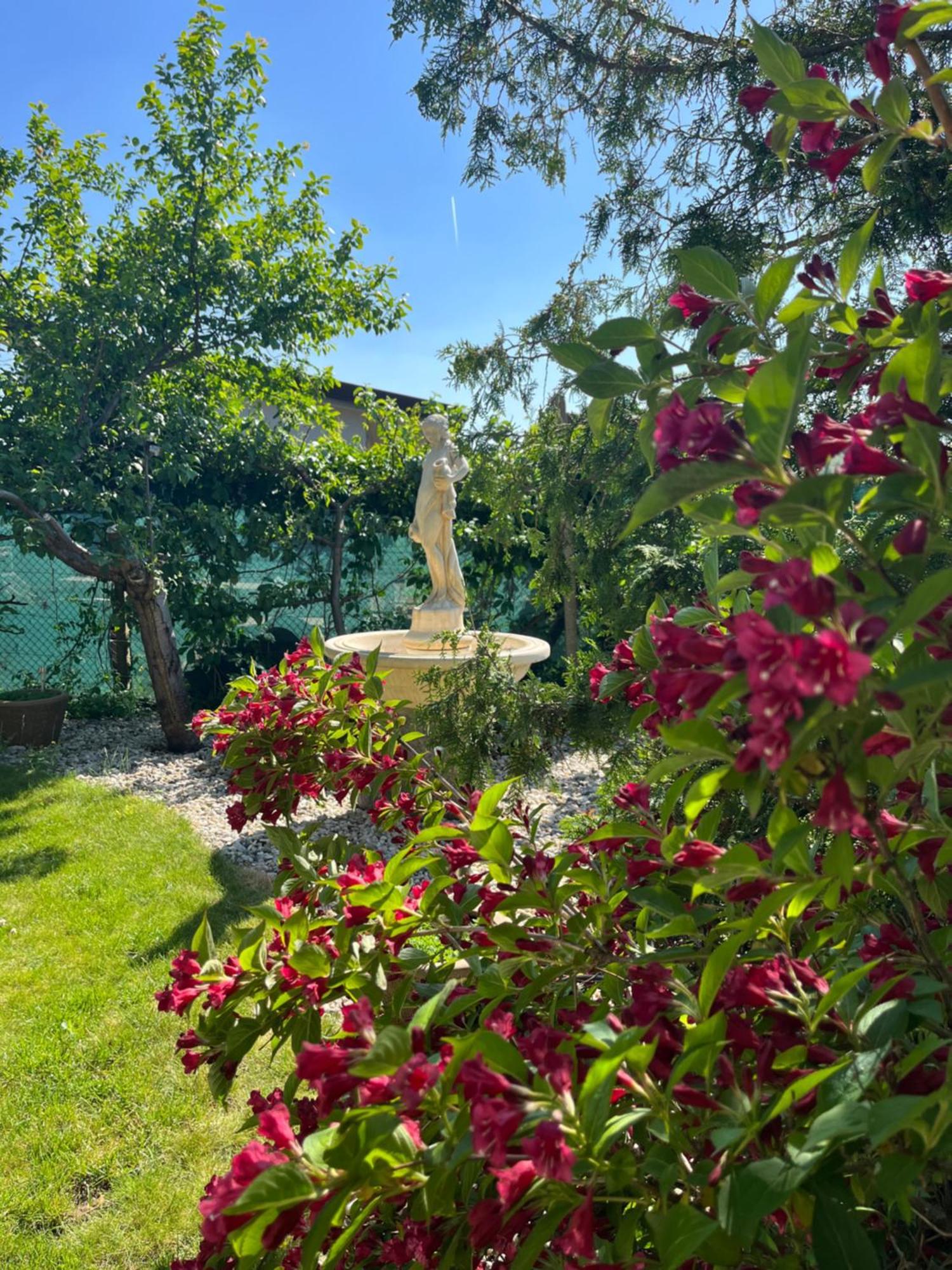 Relaxační studio VERA s UBYTOVÁNÍM Valtice Exterior foto