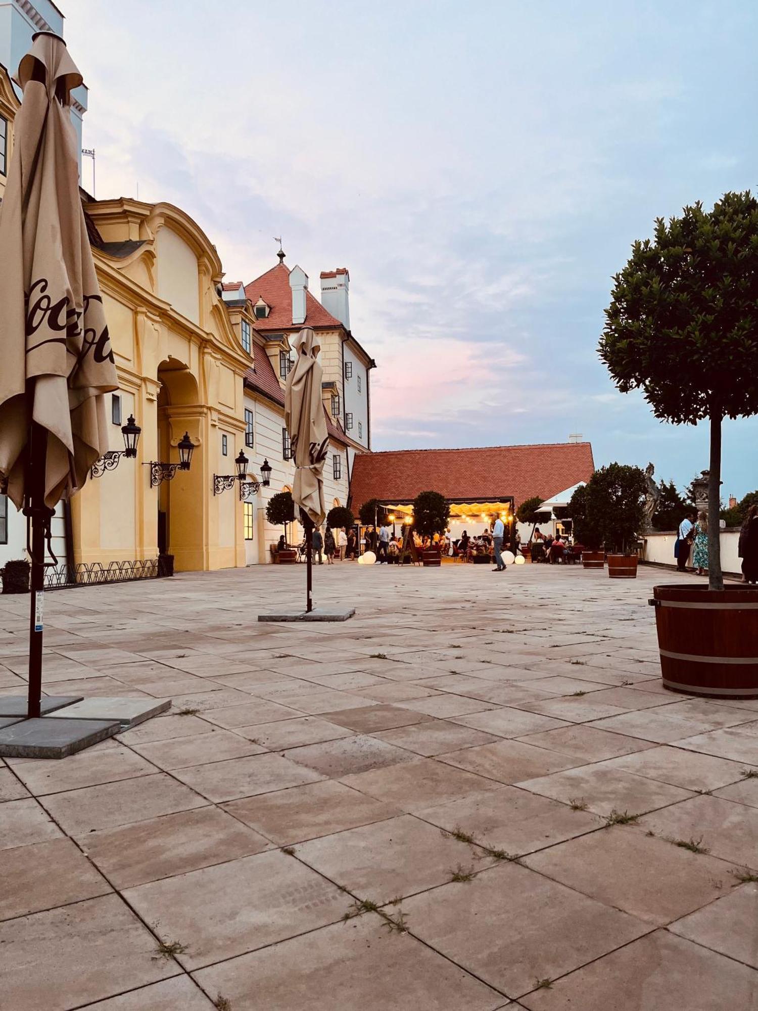 Relaxační studio VERA s UBYTOVÁNÍM Valtice Exterior foto